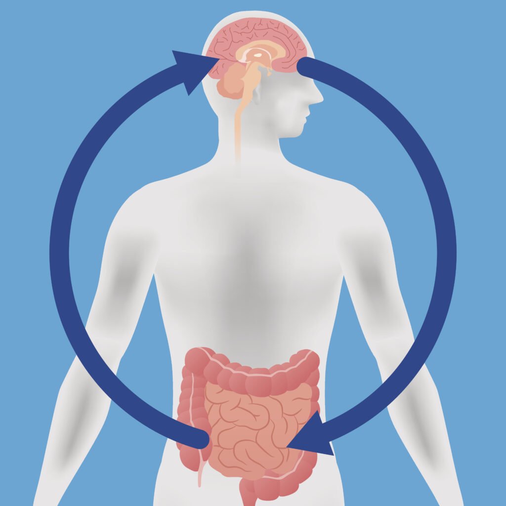 What’s the Gut-Brain Connection? What’s the Gut-Brain Connection?
