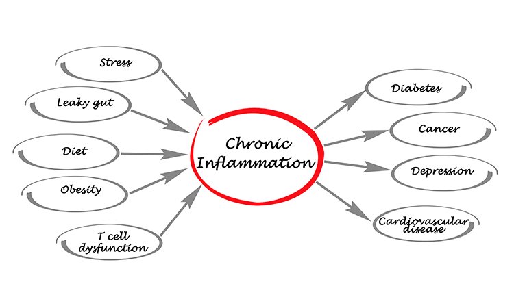 What You Should Know About Chronic Inflammation What You Should Know About Chronic Inflammation