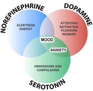 Exercise as a Natural Antidepressant Exercise as a Natural Antidepressant