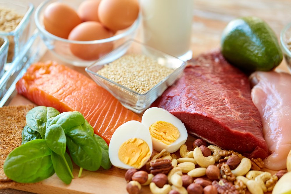 Understanding Protein: Your Essential Guide for a Healthy Diet and Sustainable Eating Understanding Protein: Your Essential Guide for a Healthy Diet and Sustainable Eating