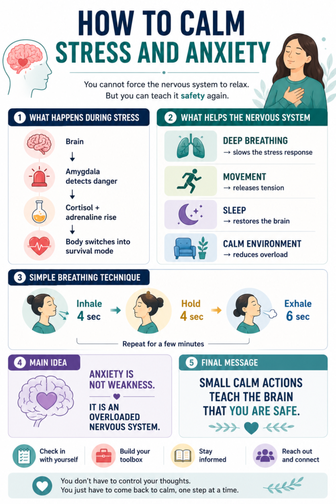 Practical Strategies for Stress and Anxiety Management