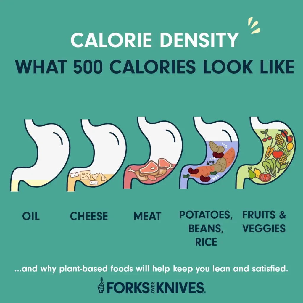 How to Maintain a Healthy Weight: Smart Food Choices That Keep You Full
