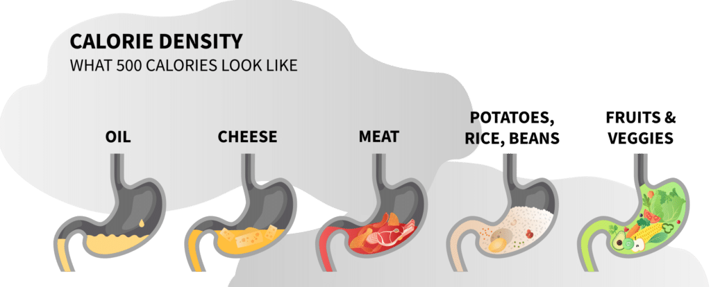 Why Calorie Density Matters