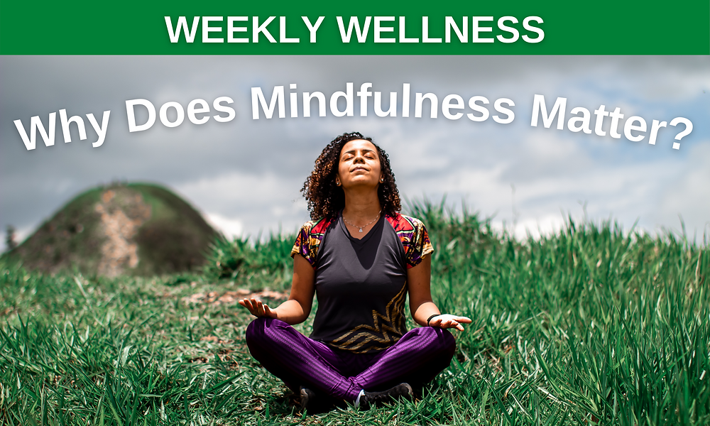 Why Mindfulness and Movement Matter